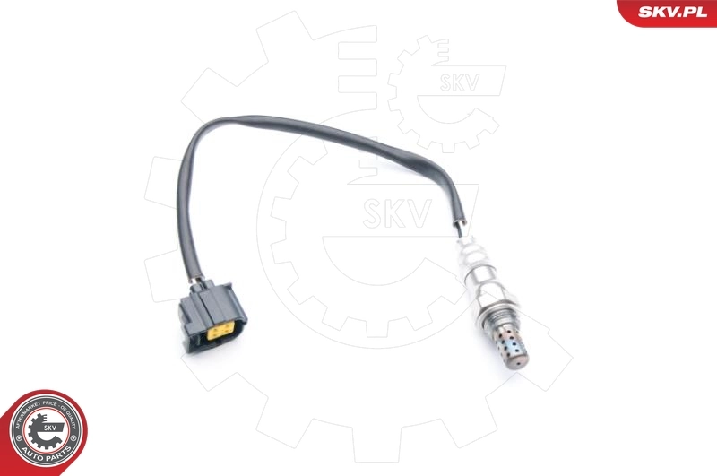 Oxygen Sensor